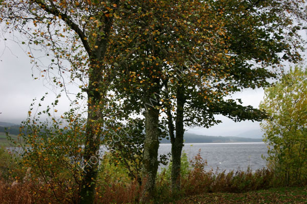 Autumn at Clatteringshaws Loch